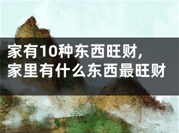 家有10种东西旺财,家里有什么东西最旺财