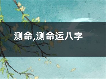 测命,测命运八字