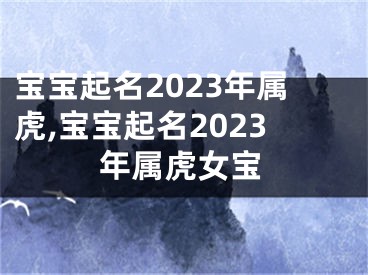 宝宝起名2023年属虎,宝宝起名2023年属虎女宝