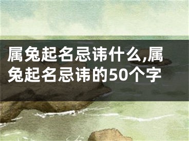 属兔起名忌讳什么,属兔起名忌讳的50个字