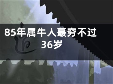 85年属牛人蕞穷不过36岁