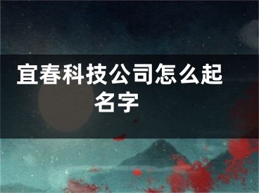  宜春科技公司怎么起名字 