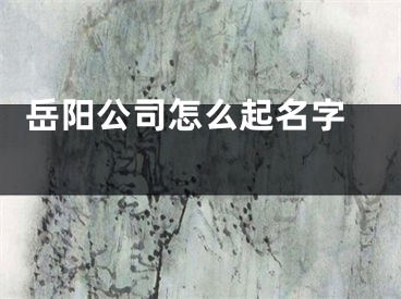  岳阳公司怎么起名字 