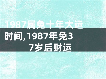 1987属兔十年大运时间,1987年兔37岁后财运