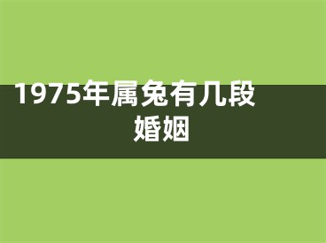 1975年属兔有几段婚姻