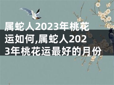 属蛇人2023年桃花运如何,属蛇人2023年桃花运最好的月份