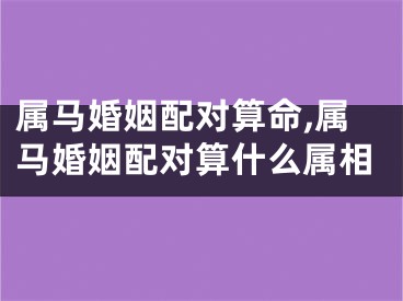 属马婚姻配对算命,属马婚姻配对算什么属相