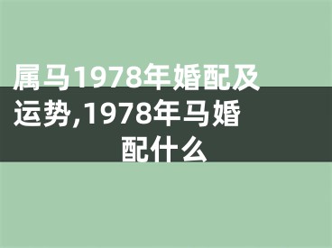 属马1978年婚配及运势,1978年马婚配什么