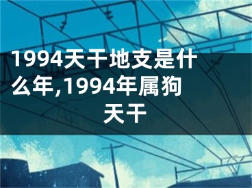 1994天干地支是什么年,1994年属狗天干