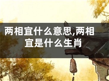 两相宜什么意思,两相宜是什么生肖