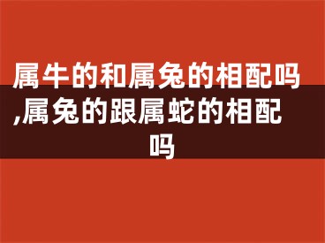 属牛的和属兔的相配吗,属兔的跟属蛇的相配吗