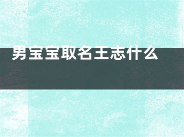  男宝宝取名王志什么 