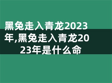 黑兔走入青龙2023年,黑兔走入青龙2023年是什么命