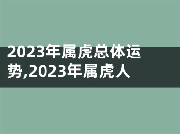 2023年属虎总体运势,2023年属虎人