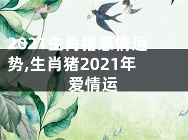 2021生肖猪感情运势,生肖猪2021年爱情运