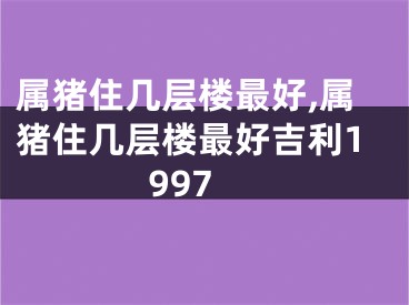 属猪住几层楼最好,属猪住几层楼最好吉利1997