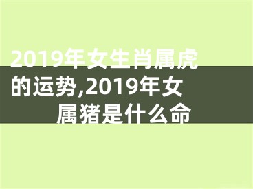 2019年女生肖属虎的运势,2019年女属猪是什么命