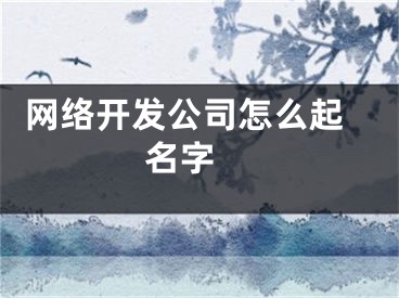  网络开发公司怎么起名字 