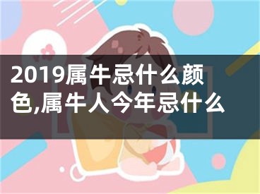 2019属牛忌什么颜色,属牛人今年忌什么