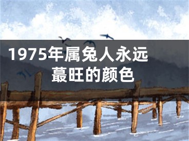 1975年属兔人永远蕞旺的颜色