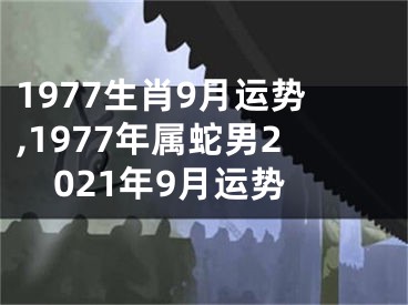 1977生肖9月运势,1977年属蛇男2021年9月运势