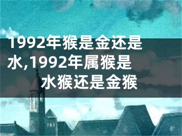 1992年猴是金还是水,1992年属猴是水猴还是金猴