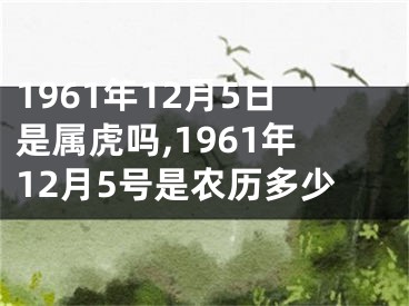 1961年12月5日是属虎吗,1961年12月5号是农历多少