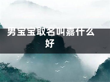  男宝宝取名叫嘉什么好 