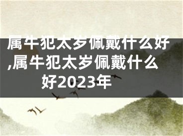 属牛犯太岁佩戴什么好,属牛犯太岁佩戴什么好2023年