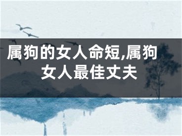 属狗的女人命短,属狗女人最佳丈夫