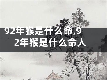 92年猴是什么命,92年猴是什么命人