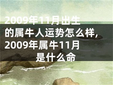 2009年11月出生的属牛人运势怎么样,2009年属牛11月是什么命