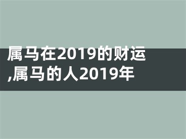 属马在2019的财运,属马的人2019年