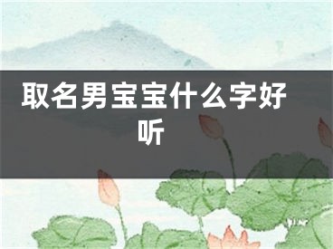  取名男宝宝什么字好听 