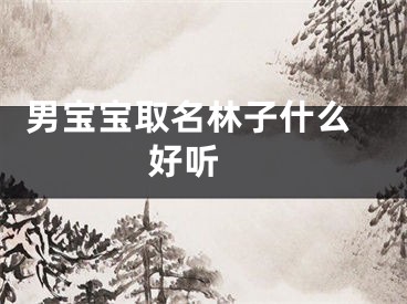  男宝宝取名林子什么好听 