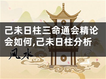 己未日柱三命通会精论会如何,己未日柱分析