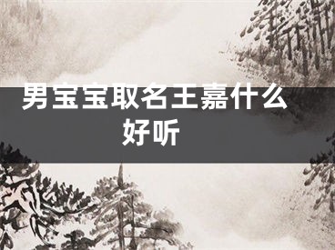  男宝宝取名王嘉什么好听 