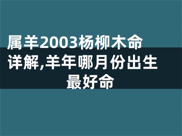 属羊2003杨柳木命详解,羊年哪月份出生最好命