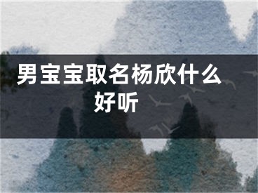  男宝宝取名杨欣什么好听 