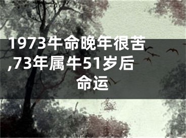 1973牛命晚年很苦,73年属牛51岁后命运