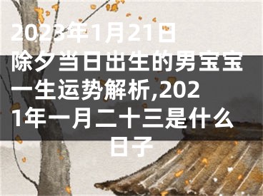 2023年1月21日除夕当日出生的男宝宝一生运势解析,2021年一月二十三是什么日子