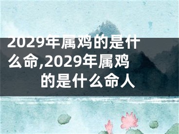 2029年属鸡的是什么命,2029年属鸡的是什么命人