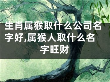 生肖属猴取什么公司名字好,属猴人取什么名字旺财