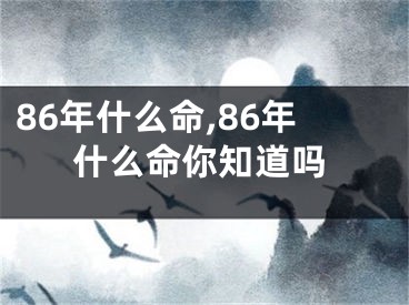 86年什么命,86年什么命你知道吗