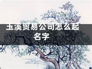  玉溪贸易公司怎么起名字 