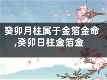 癸卯月柱属于金箔金命,癸卯日柱金箔金