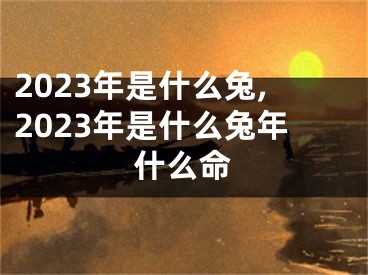 2023年是什么兔,2023年是什么兔年什么命