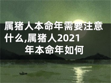 属猪人本命年需要注意什么,属猪人2021年本命年如何