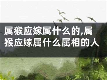 属猴应嫁属什么的,属猴应嫁属什么属相的人