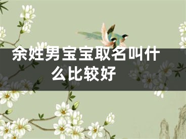  余姓男宝宝取名叫什么比较好 